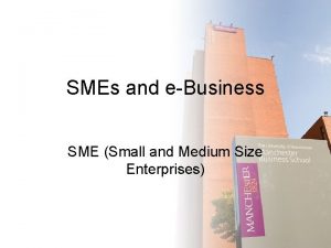 SMEs and eBusiness SME Small and Medium Size