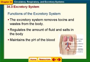 Chapter 34 Circulatory Respiratory and Excretory Systems 34