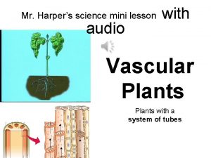 Mr Harpers science mini lesson audio with Vascular