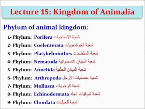 1 Phylum Porifera Systematic Position Kingdom Animalia Subkingdom