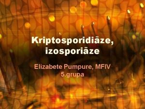 Elizabete pumpure