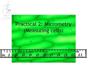 Practical 2 Micrometry Measuring cells To accurately measure