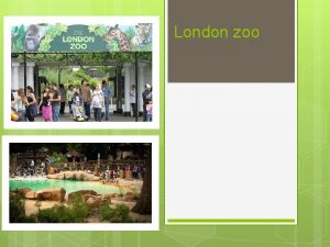 London zoo London zoo is the oldest scientific