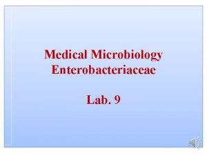 Medical Microbiology Enterobacteriaceae Lab 9 Enterobacteriaceae Enterobacteriaceae includes