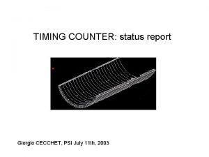 TIMING COUNTER status report Giorgio CECCHET PSI July
