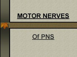 MOTOR NERVES Of PNS PNS n Outside brain