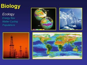 Biology Ecology Energy flow Matter Cycling Populations Ecology