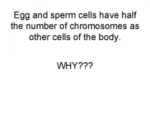 Egg and sperm cells have half the number