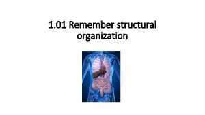 1 01 Remember structural organization 1 01 Remember