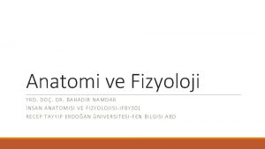 Anatomi ve Fizyoloji YR D DO DR BAHADIR