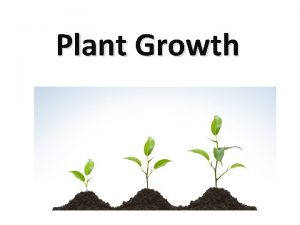 Plant Growth Internal Factors Affecting Plants Hormones What