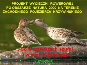 PROJEKT WYCIECZKI ROWEJ PO OBSZARZE NATURA 2000 NA