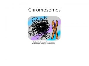 Chromosomes Learning Objectives You will have been successful