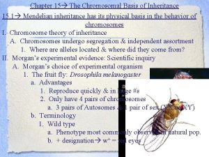 The chromosomal basis of inheritance chapter 15