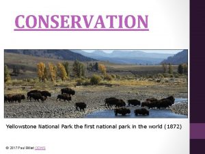 CONSERVATION Yellowstone National Park the first national park