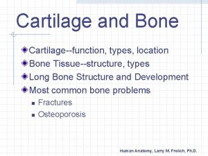 Cartilage and Bone Cartilagefunction types location Bone Tissuestructure