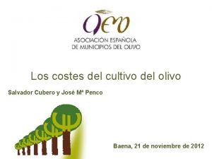 Los costes del cultivo del olivo Salvador Cubero