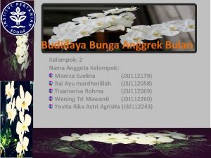 Budidaya Bunga Anggrek Bulan Kelompok 2 Nama Anggota