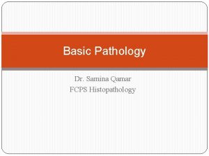 Basic Pathology Dr Samina Qamar FCPS Histopathology CHRONIC