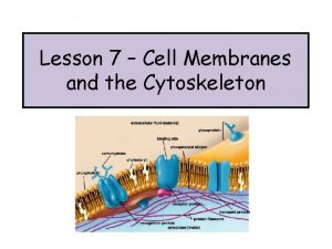 Lesson 7 Cell Membranes and the Cytoskeleton Hank