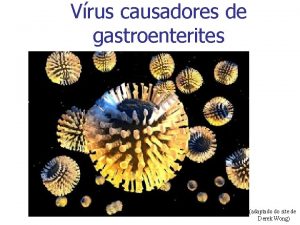 Vrus causadores de gastroenterites adaptado do site de