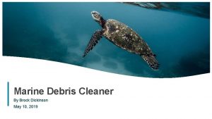 Marine Debris Cleaner By Brock Dickinson May 10