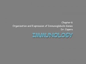 Chapter 6 Organization and Expression of Immunoglobulin Genes