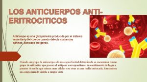 LOS ANTICUERPOS ANTIERITROCITICOS Anticuerpo es una glicoprotena producida
