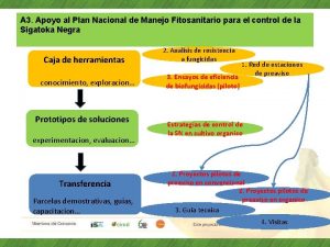 A 3 Apoyo al Plan Nacional de Manejo