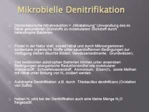 Mikrobielle Denitrifikation Dissimilatorische Nitratreduktion Nitratatmung Umwandlung des im