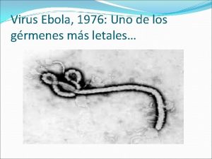 Virus Ebola 1976 Uno de los grmenes ms