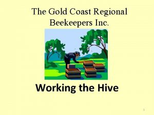 The Gold Coast Regional Beekeepers Inc Working the