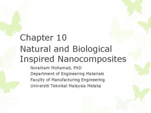 Chapter 10 Natural and Biological Inspired Nanocomposites Noraiham