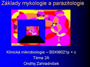 Zklady mykologie a parazitologie Klinick mikrobiologie BSKM 021