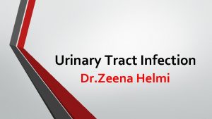 Urinary Tract Infection Dr Zeena Helmi Urinary tract