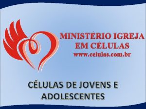 MINISTRIO IGREJA EM CLULAS www celulas com br