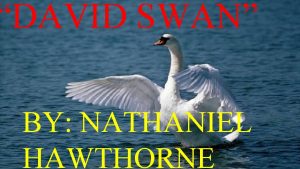 David swan by nathaniel hawthorne