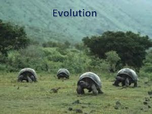 Evolution Evolution What is evolution It is the