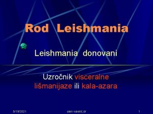 Rod Leishmania donovani Uzronik visceralne limanijaze ili kalaazara