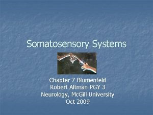 Somatosensory Systems Chapter 7 Blumenfeld Robert Altman PGY