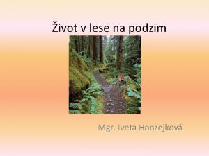 ivot v lese na podzim Mgr Iveta Honzejkov