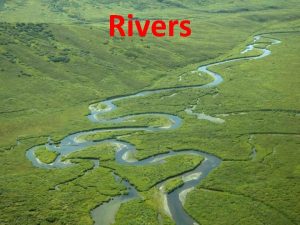 Point bars and natural levees