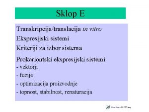 Sklop E Transkripcijatranslacija in vitro Ekspresijski sistemi Kriteriji