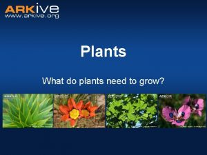 Plants What do plants need to grow Parts