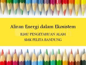 Aliran Energi dalam Ekosistem ILMU PENGETAHUAN ALAM SMK