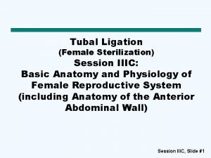 Tubal Ligation Female Sterilization Session IIIC Basic Anatomy