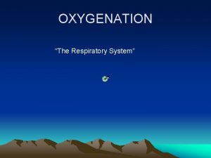 OXYGENATION The Respiratory System Respiratory System Upper airway