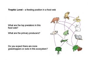 Whats trophic level