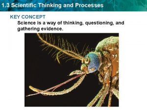 1 3 Scientific Thinking and Processes KEY CONCEPT