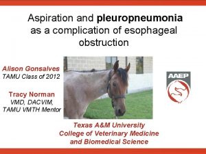 Aspiration and pleuropneumonia as a complication of esophageal